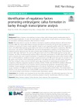 Identification of regulatory factors promoting embryogenic callus formation in barley through transcriptome analysis