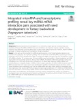 Integrated microRNA and transcriptome profiling reveal key miRNA-mRNA interaction pairs associated with seed development in Tartary buckwheat (Fagopyrum tataricum)