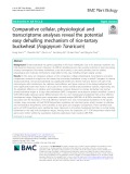 Comparative cellular, physiological and transcriptome analyses reveal the potential easy dehulling mechanism of rice-tartary buckwheat (Fagopyrum Tararicum)