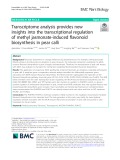 Transcriptome analysis provides new insights into the transcriptional regulation of methyl jasmonate-induced flavonoid biosynthesis in pear calli