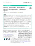Diversity and evolution of cytochrome P450s of Jacobaea vulgaris and Jacobaea aquatica