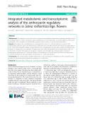 Integrated metabolomic and transcriptomic analysis of the anthocyanin regulatory networks in Salvia miltiorrhiza Bge. flower