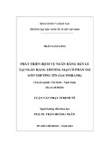 Luận văn Thạc sĩ Kinh tế: Phát triển dịch vụ ngân hàng bán lẻ tại Ngân hàng thương mại cổ phần Sài Gòn Thương Tín