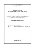 Báo cáo tóm tắt Đề tài khoa học và công nghệ cấp Bộ: Nghiên cứu về mối quan hệ giữa trách nhiệm xã hội và hiệu quả hoạt động của các doanh nghiệp trên địa bàn thành phố Đà Nẵng