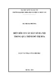 Luận văn Thạc sĩ Xã hội học: Biến đổi cơ cấu dân số Hà Nội trong quá trình đô thị hóa