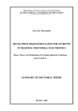 Summary of Doctoral Thesis: Developing professionalism for students in training industrial electronics