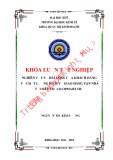 Khóa luận tốt nghiệp Quản trị kinh doanh: Nghiên cứu sự hài lòng của khách hàng về chất lượng dịch vụ giao hàng tận nhà tại siêu thị Co.opmart Huế