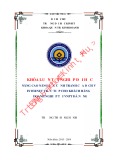 Khóa luận tốt nghiệp Quản trị kinh doanh: Nâng cao năng lực cạnh tranh của dịch vụ Internet trực tiếp cho khách hàng doanh nghiệp tại VNPT Đà Nẵng