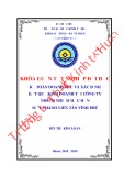 Khóa luận tốt nghiệp Kế toán-Kiểm toán: Kế toán doanh thu và xác định kết quả kinh doanh tại Công ty TNHH MTV Tân Vĩnh Phú