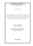 Luận văn Thạc sĩ Khoa học: Đánh giá hiện trạng, xác định tải lượng, nồng độ phát thải một số chất ô nhiễm môi trường khí do hoạt động giao thông tại cửa ngõ phía Nam thành phố Hà Nội, đề xuất giải pháp, biện pháp giảm thiểu ô nhiễm