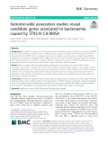 Genome-wide association studies reveal candidate genes associated to bacteraemia caused by ST93-IV CA-MRSA