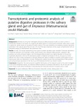 Transcriptomic and proteomic analysis of putative digestive proteases in the salivary gland and gut of Empoasca (Matsumurasca) onukii Matsuda