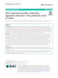 Gene expression profiles underlying aggressive behavior in the prefrontal cortex of cattle