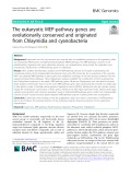 The eukaryotic MEP-pathway genes are evolutionarily conserved and originated from Chlaymidia and cyanobacteria
