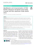 Identification and characterization of HAK/ KUP/KT potassium transporter gene family in barley and their expression under abiotic stress