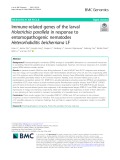 Immune-related genes of the larval Holotrichia parallela in response to entomopathogenic nematodes Heterorhabditis beicherriana LF