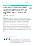 Global analysis of expression, maturation and subcellular localization of mouse liver transcriptome identifies novel sex-biased and TCPOBOP-responsive long non-coding RNAs