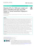 Mapping QTLs for 1000-grain weight and genes controlling hull type using SNP marker in Tartary buckwheat (Fagopyrum tataricum)