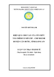 Luận văn Thạc sĩ Kinh tế: Hiệu quả cho vay của Tổ chức Tài chính vi mô CEP chi nhánh Cần Đước – tỉnh Long An