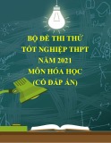 Bộ đề thi thử tốt nghiệp THPT năm 2021 môn Hóa học (Có đáp án)