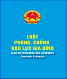 Phòng chống bạo lực gia đình tại Việt Nam