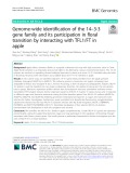 Genome-wide identification of the 14–3-3 gene family and its participation in floral transition by interacting with TFL1/FT in apple