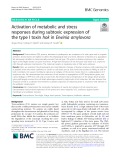 Activation of metabolic and stress responses during subtoxic expression of the type I toxin hok in Erwinia amylovora