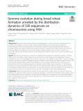 Genome evolution during bread wheat formation unveiled by the distribution dynamics of SSR sequences on chromosomes using FISH
