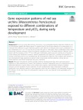 Gene expression patterns of red sea urchins (Mesocentrotus franciscanus) exposed to different combinations of temperature and pCO2 during early development