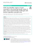 ATAC-Seq identifies regions of open chromatin in the bronchial lymph nodes of dairy calves experimentally challenged with bovine respiratory syncytial virus