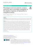 Physiological and transcriptomic analyses reveal the roles of secondary metabolism in the adaptive responses of Stylosanthes to manganese toxicity