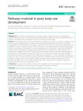 Pathways involved in pony body size development