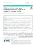 Global transcriptome changes of elongating internode of sugarcane in response to mepiquat chloride
