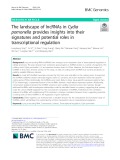 The landscape of lncRNAs in Cydia pomonella provides insights into their signatures and potential roles in transcriptional regulation