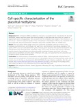 Cell-specific characterization of the placental methylome