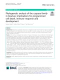 Phylogenetic analysis of the caspase family in bivalves: Implications for programmed cell death, immune response and development