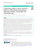 Comparative analysis of gene expression profiles in differentiated subcutaneous adipocytes between Jiaxing Black and Large White pigs