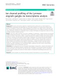 Ion channel profiling of the Lymnaea stagnalis ganglia via transcriptome analysis