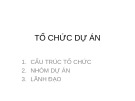 Bài giảng Tổ chức dự án - Chương 1: Cấu trúc tổ chức