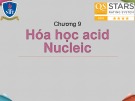 Bài giảng Hóa sinh - Chương 9: Hóa học acid nucleic