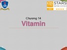 Bài giảng Hóa sinh - Chương 14: Vitamin