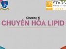 Bài giảng Hóa sinh – Chương 6: Chuyển hóa lipid