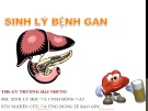 Bài giảng Sinh lý bệnh gan - Th.s.GV Trương Hải Nhung