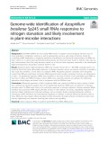 Genome-wide identification of Azospirillum brasilense Sp245 small RNAs responsive to nitrogen starvation and likely involvement in plant-microbe interactions