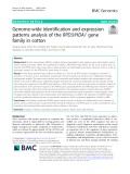 Genome-wide identification and expression patterns analysis of the RPD3/HDA1 gene family in cotton