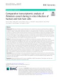 Comparative transcriptomic analysis of Rickettsia conorii during in vitro infection of human and tick host cells