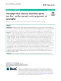 Transcriptome analysis identifies genes involved in the somatic embryogenesis of Eucalyptus