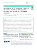 Identification of Y chromosome markers in the eastern three-lined skink (Bassiana duperreyi) using in silico whole genome subtraction