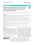 Molecular identification and evolutionary relationships between the subspecies of Musa by DNA barcodes