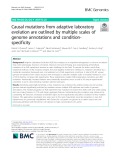 Causal mutations from adaptive laboratory evolution are outlined by multiple scales of genome annotations and conditionspecificity